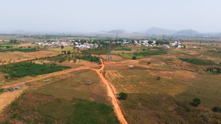 whatsapp image 2026 01 14 at 20.33.07