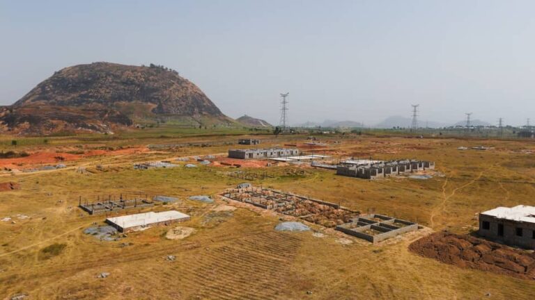 whatsapp image 2026 01 14 at 20.33.08 (1)