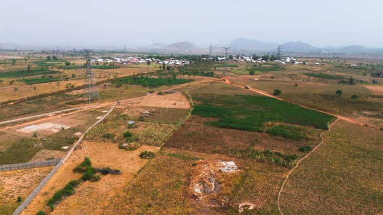 whatsapp image 2026 01 14 at 20.33.08