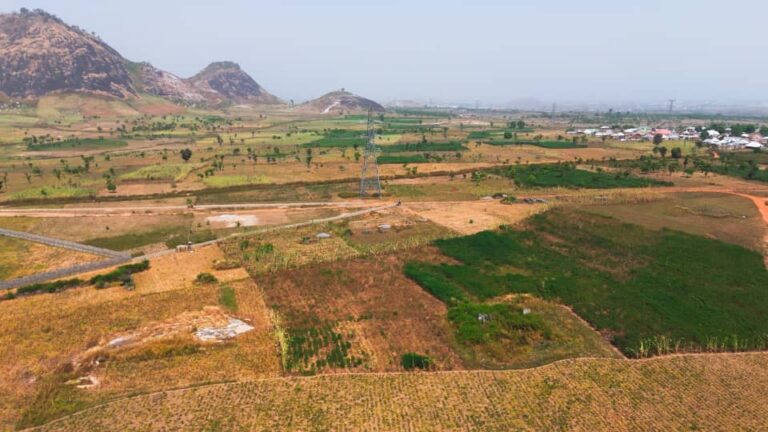 whatsapp image 2026 01 14 at 20.33.09 (1)